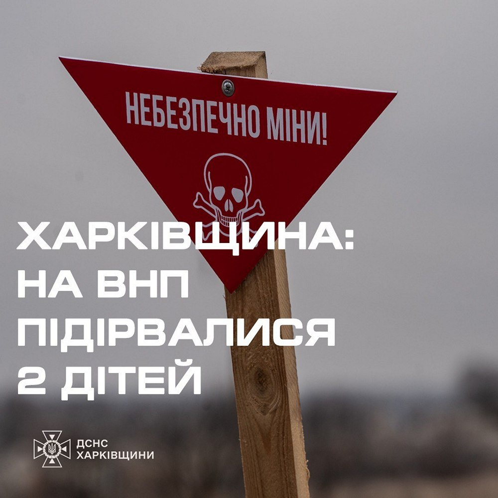 Через вибухи невідомих предметів постраждали троє дітей в 2 областях - ДСНС