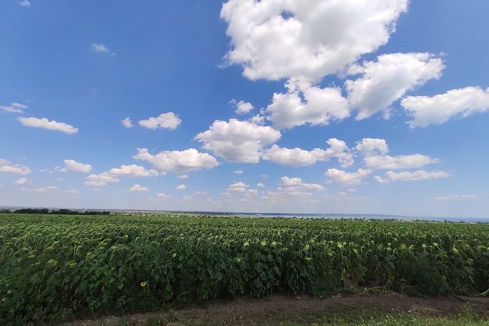 Нові соцвиплати, допомога, зміни для ВПО, вже без 220 вольт у розетці, початок вступної кампанії: основні зміни з 1 липня для українців