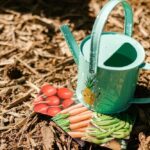 посівний календар на липень
