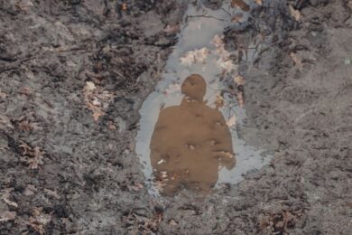 Рада ухвалила закон щодо оголошення зниклих безвісти через війну померлими