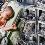 В Ізраїлі вбито родину українського