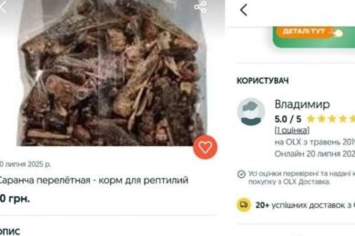 Нашестя сарани: українці продають комах на ОЛХ, громадян закликають бути пильними