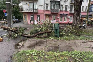 Потужний ураган у Києві – впав будівельний кран, негода повалила дерева (відео)
