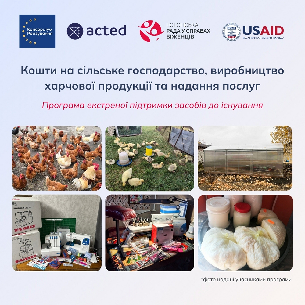 Грошова допомога у трьох областях за програмою екстреної підтримки - хто і як може подати заявку