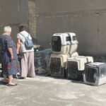 Рятуючись від війни, дві бабусі проїхали 1000 км з 11 собаками і 34 котами, але в селі Добрянка на Вінниччині місцеві проти їх проживання там