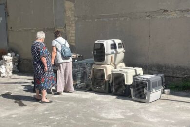 Рятуючись від війни, дві бабусі проїхали 1000 км з 11 собаками і 34 котами, але в селі Добрянка на Вінниччині місцеві проти їх проживання там