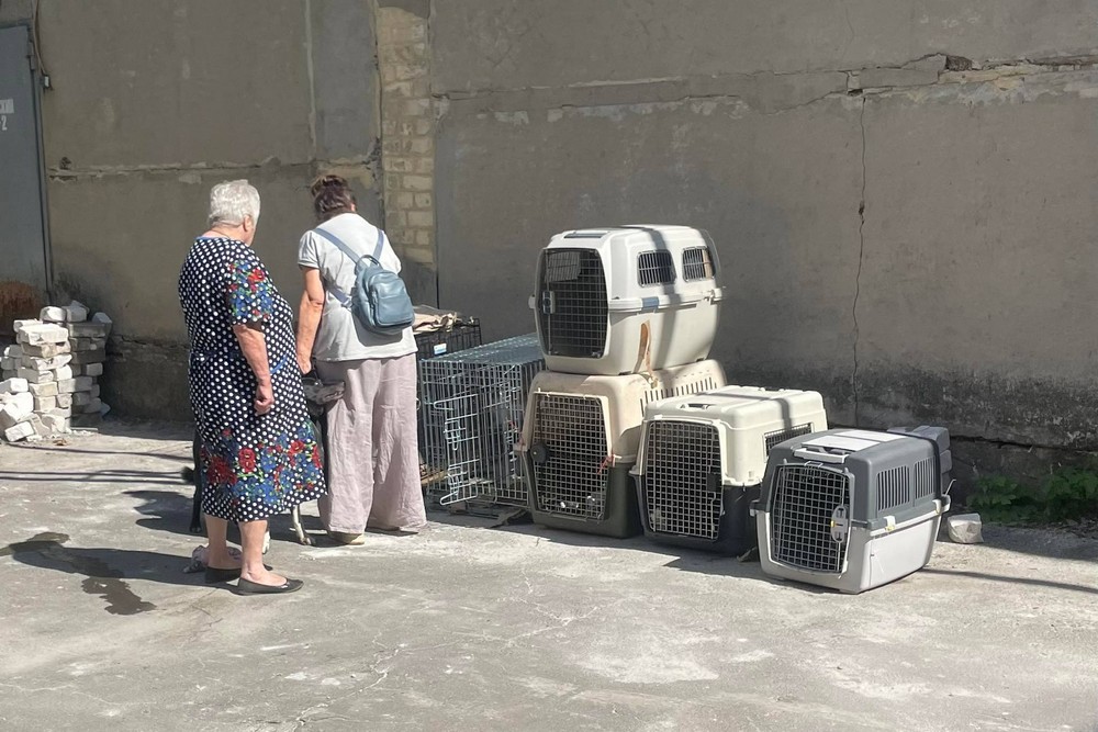 Рятуючись від війни, дві бабусі проїхали 1000 км з 11 собаками і 34 котами, але в селі Добрянка на Вінниччині місцеві проти їх проживання там