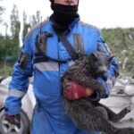 Масована нічна повітряна атака 31 липня: майже 100 постраждалих, серед загиблих мама з дитиною, пожежі і руйнування – все, що відомо (фото, відео)