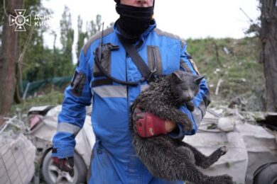 Масована нічна повітряна атака 31 липня: майже 100 постраждалих, серед загиблих мама з дитиною, пожежі і руйнування – все, що відомо (фото, відео)