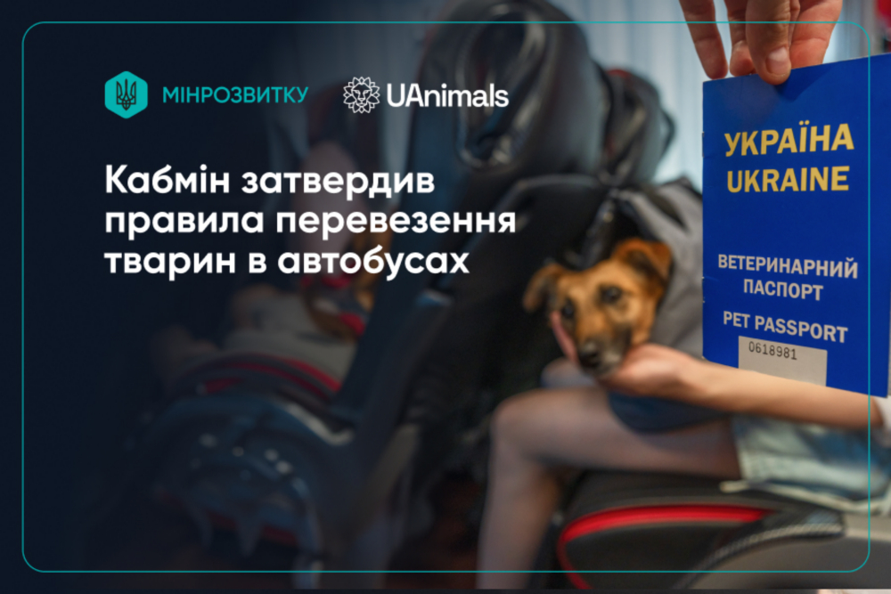 Нові правила перевезення тварин в автобусах