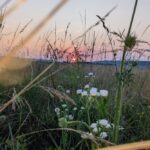 17 липня – яке сьогодні свято, прикмети і традиції, пам’ятні дати, іменини