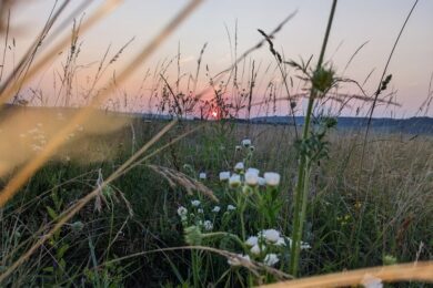 17 липня – яке сьогодні свято, прикмети і традиції, пам’ятні дати, іменини