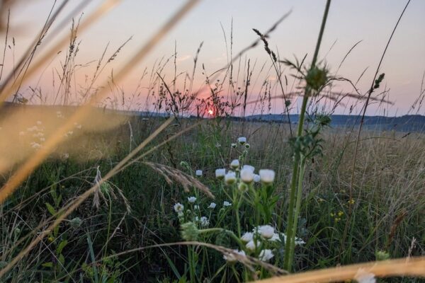 17 липня – яке сьогодні свято, прикмети і традиції, пам’ятні дати, іменини