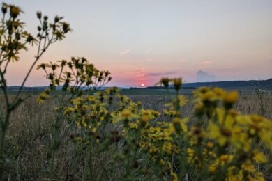 26 липня – яке сьогодні свято, прикмети і традиції, пам’ятні дати, іменини