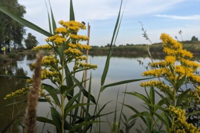 22 липня – яке сьогодні свято, прикмети і традиції, пам’ятні дати, іменини