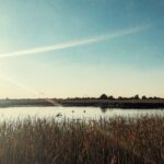 7 липня – яке сьогодні свято, прикмети і традиції, пам’ятні дати, іменини