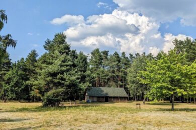 19 липня – яке сьогодні свято, прикмети і традиції, пам’ятні дати, іменини