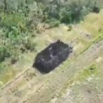 Оборонці показали ворожий «танк-чудовисько», який вдалося вразити 60 дронами (відео)