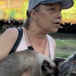Покровська більше немає, на вулицях мертві люди і покинуті собаки: подружжя з котами 20 км йшло пішки, аби вибратися із зруйнованого міста