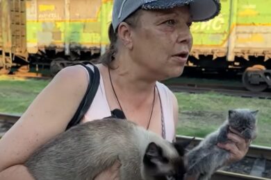 Покровська більше немає, на вулицях мертві люди і покинуті собаки: подружжя з котами 20 км йшло пішки, аби вибратися із зруйнованого міста