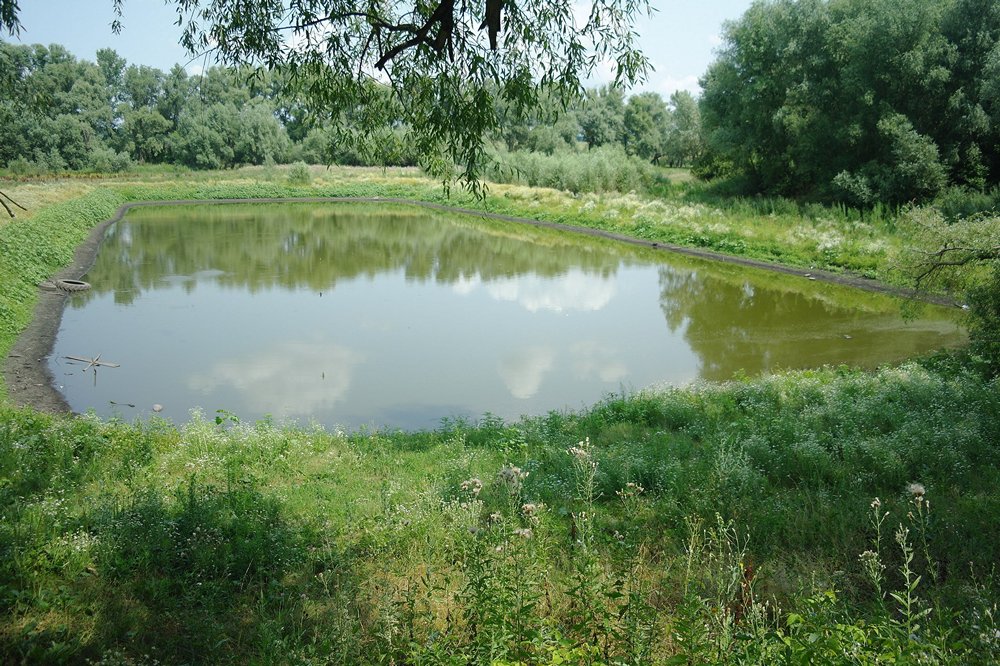 Штучна водойма - чи може власник викопати ставок на ділянці без дозволу