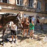 Удар по Одесі 11 липня посеред робочого дня: постраждали люди і тварини (фото)