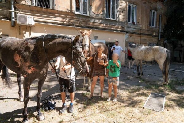 Удар по Одесі 11 липня посеред робочого дня: постраждали люди і тварини (фото)
