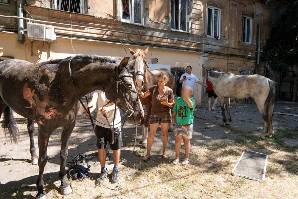 Удар по Одесі 11 липня посеред робочого дня: постраждали люди і тварини (фото) 1 Удар по Одесі 11 липня посеред робочого дня: постраждали люди і тварини (фото)