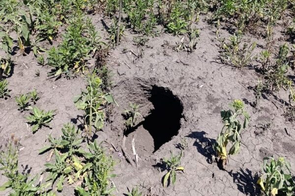 Після зневоднення Каховського водосховища на полях Херсонщини виникли небезпечні провали
