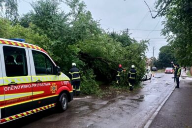 Зірвані дахи, повалені дерева і блекаут: рятувальники показали наслідки буревію на заході України