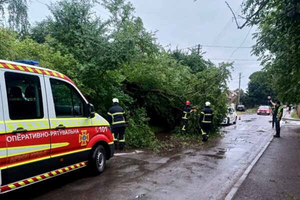 Зірвані дахи, повалені дерева і блекаут: рятувальники показали наслідки буревію на заході України