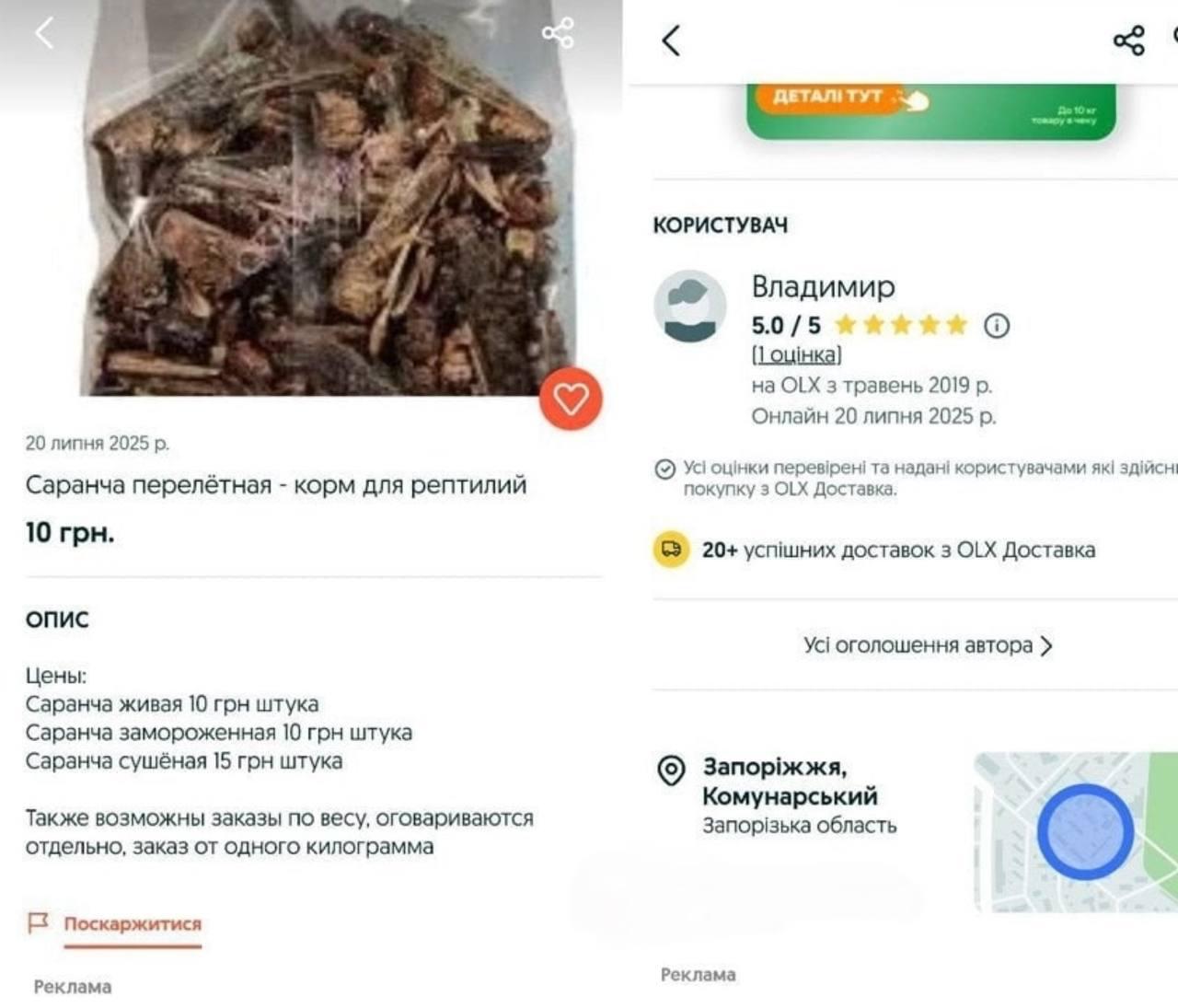 Нашестя сарани: українці продають комах на ОЛХ, громадян закликають бути пильними