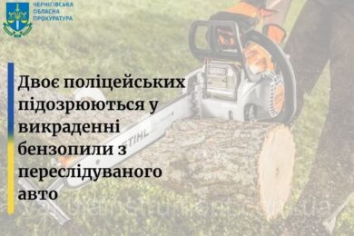 Двоє поліцейських вкрали бензопилу з автівки, за якою вони гналися і яку водій кинув у лісі – подія на Чернігівщині