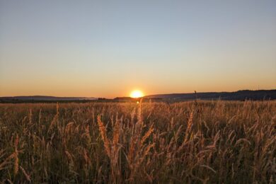 31 серпня – яке сьогодні свято, прикмети і традиції, пам’ятні дати, іменини