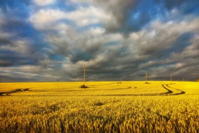 24 серпня – яке сьогодні свято, прикмети і традиції, пам’ятні дати, іменини