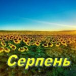 Штрафи для ФОП, виплати для батьків, квитки через «Дію», відстрочки від мобілізації, "Доступні ліки" - всі зміни з 1 серпня для українців