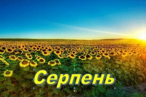 Штрафи для ФОП, виплати для батьків, квитки через «Дію», відстрочки від мобілізації, "Доступні ліки" - всі зміни з 1 серпня для українців