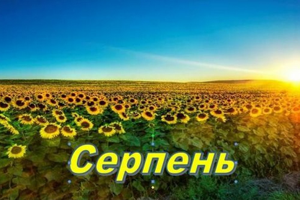 Штрафи для ФОП, виплати для батьків, квитки через «Дію», відстрочки від мобілізації, "Доступні ліки" - всі зміни з 1 серпня для українців
