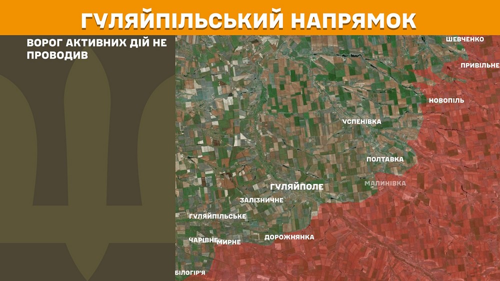 гуляйпільський n