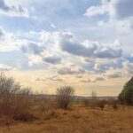 Допомога для ВПО і військових, стипендії, зміни у школах, перевірки ТЦК та нові поїзди від “Укрзалізнимці” – всі зміни з 1 вересня для українців