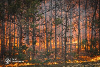 Згоріло 1400 гектарів лісу: рятувальники тиждень гасили пожежу на Донеччині, яка виникла внаслідок обстрілів (фото)