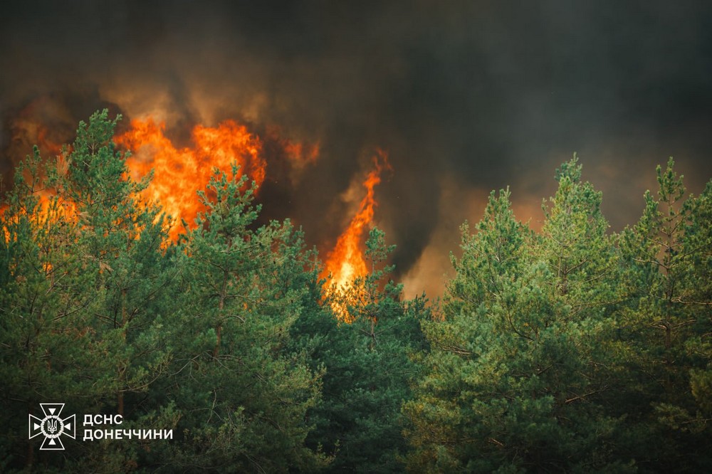 Тиждень гасили пожежу на Донеччині: фото