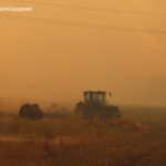 Масштабна пожежа на Миколаївщині триває вже майже добу: горить ліс (фото)
