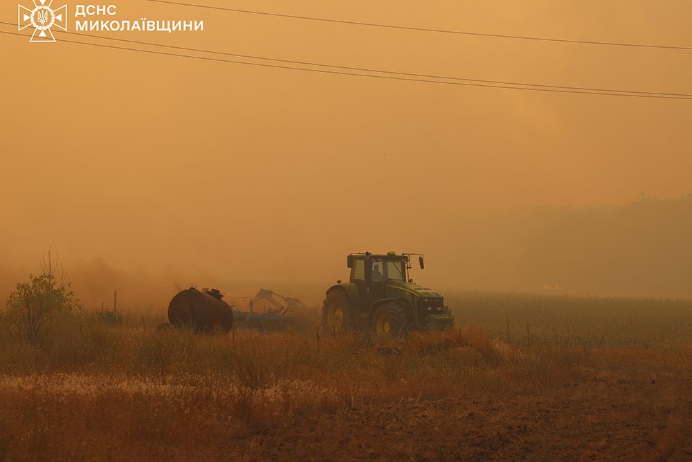 Масштабна пожежа на Миколаївщині триває вже майже добу: горить ліс (фото)