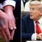 Трамп зник: мережі переповнені чутками, а піцерія біля Білого дому – відвідувачами. Що відомо?