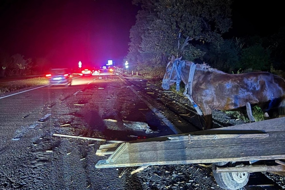 Підвода, позашляховик і мотоцикл: сталися дві смертельні ДТП на Львівщині (фото) 1 Підвода, позашляховик і мотоцикл: сталися дві смертельні ДТП на Львівщині (фото)