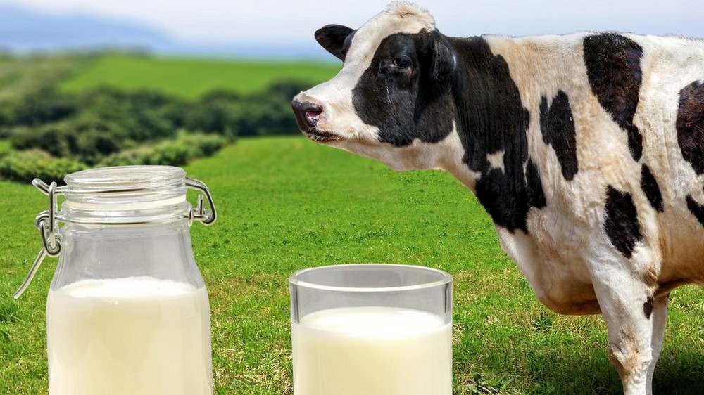 Медики назвали ТОП-5 продуктів, які покращать настрій