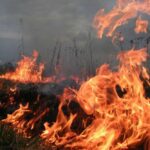 Підпалили суху траву, і вони не встигли втекти: 18 офіцерів РФ ліквідовано на Запоріжжі