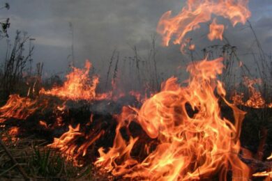 Підпалили суху траву, і вони не встигли втекти: 18 офіцерів РФ ліквідовано на Запоріжжі