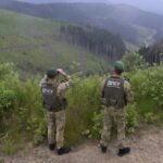 Прикордонники застрелили 23-річного харків’янина при спробі незаконно втекти з України – подробиці